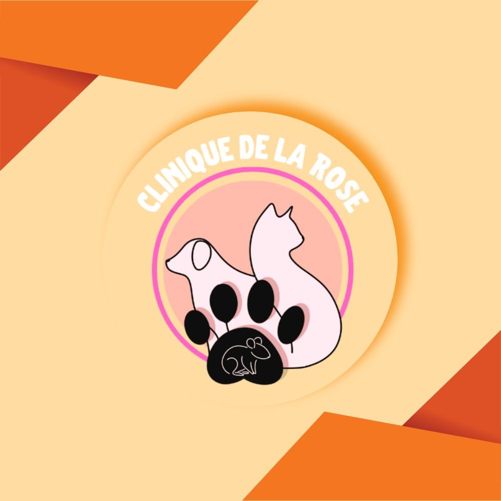 DIPE Création - Graphisme pour design - Streamers - Youtubers - Entreprises - Particuliers - Retouches Photos - Site Internet - Lille - Maubeuge - Hautmont - Design - Illustration