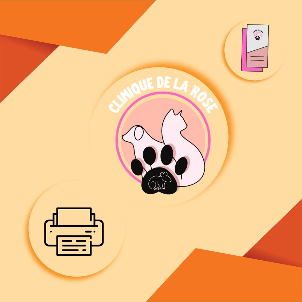 DIPE Création - Graphisme pour design - Streamers - Youtubers - Entreprises - Particuliers - Retouches Photos - Site Internet - Lille - Maubeuge - Hautmont - Design - Illustration